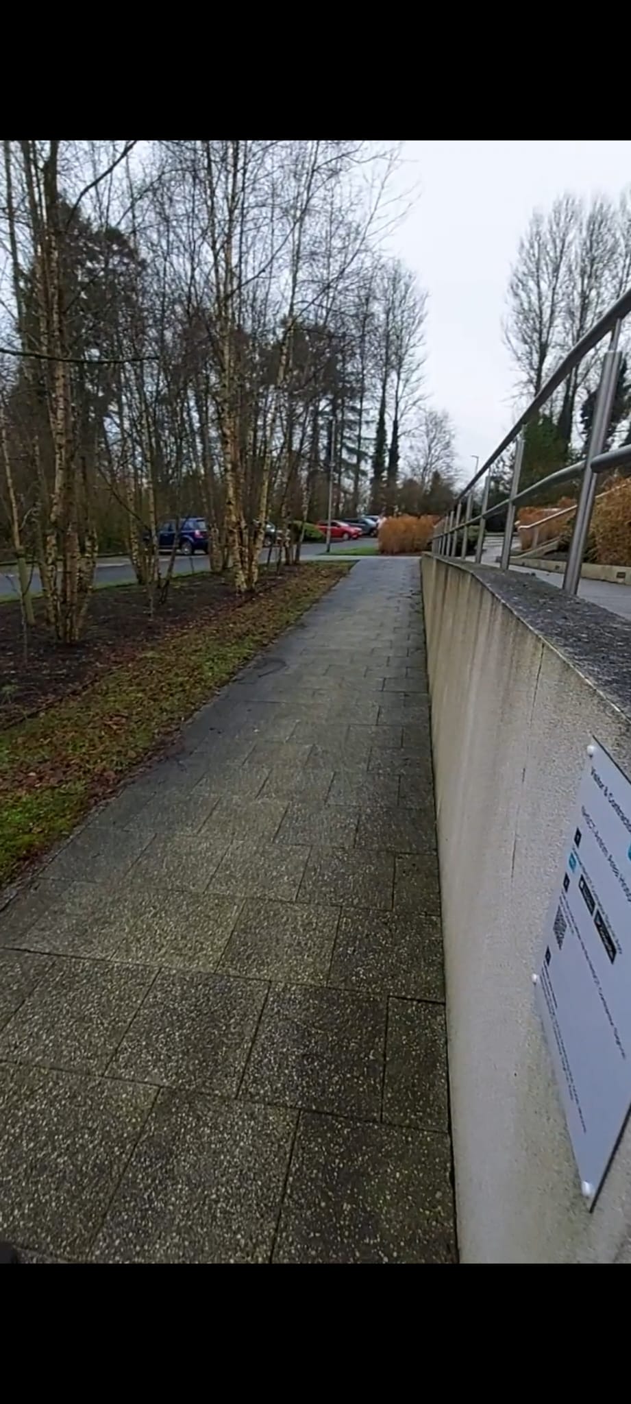 exterior cleaning