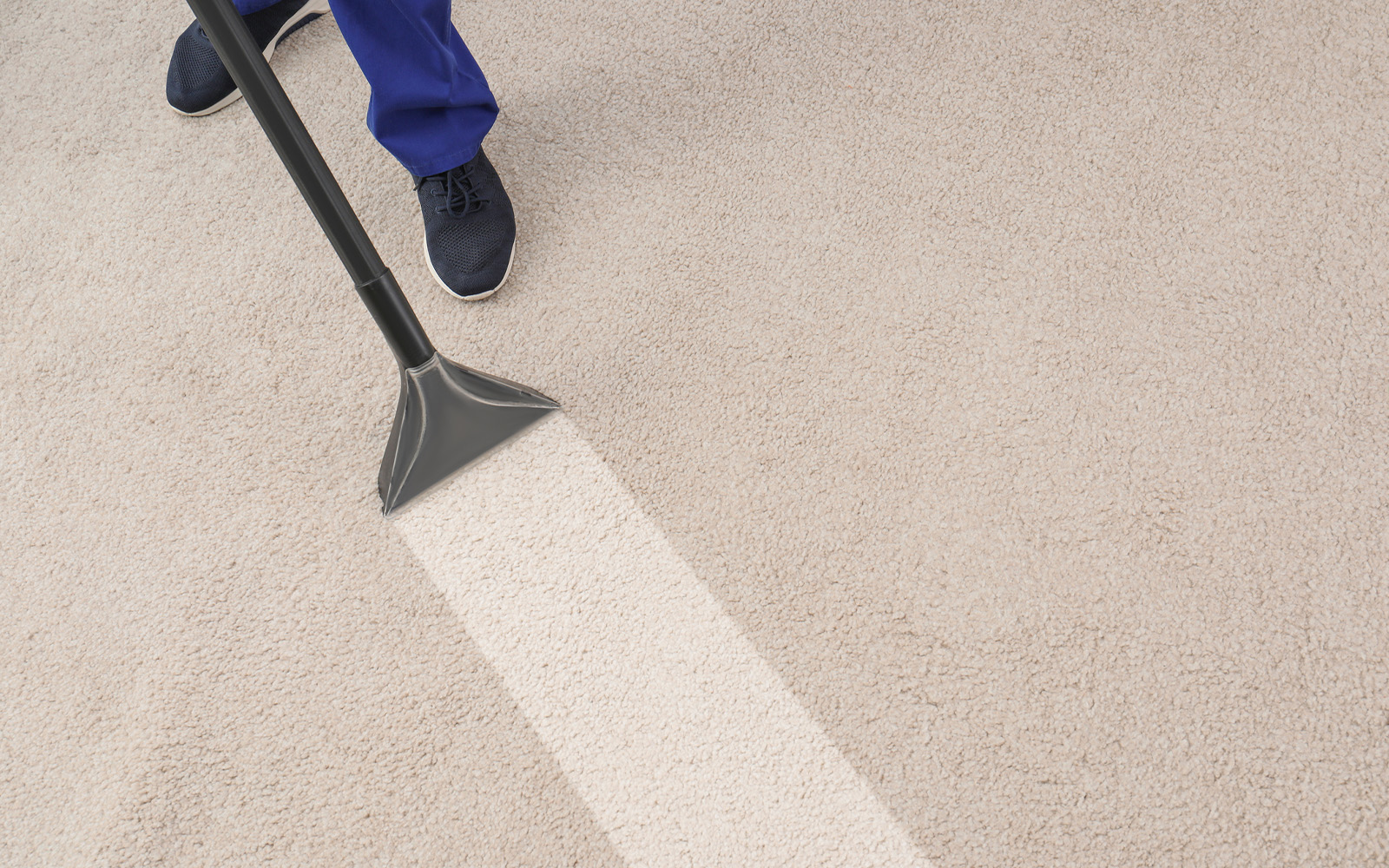 carpet cleaning service belfast